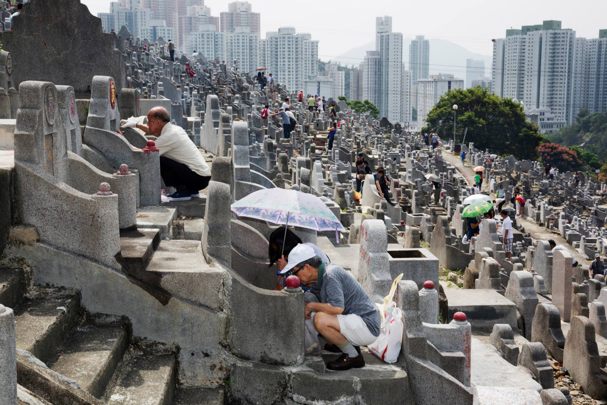 10515217_850616098304042_1081381555565679527_o