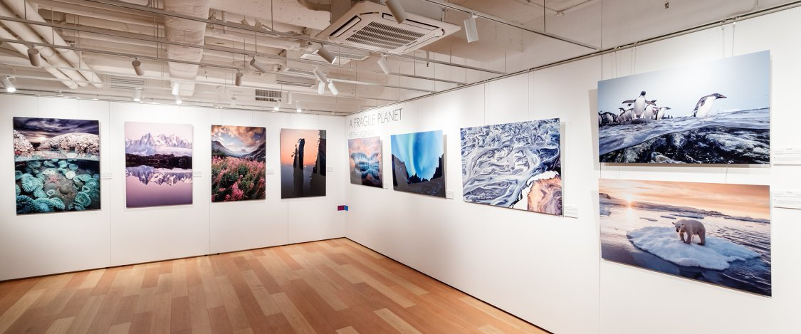 28951588_2008395679373229_2269441572242194432_o