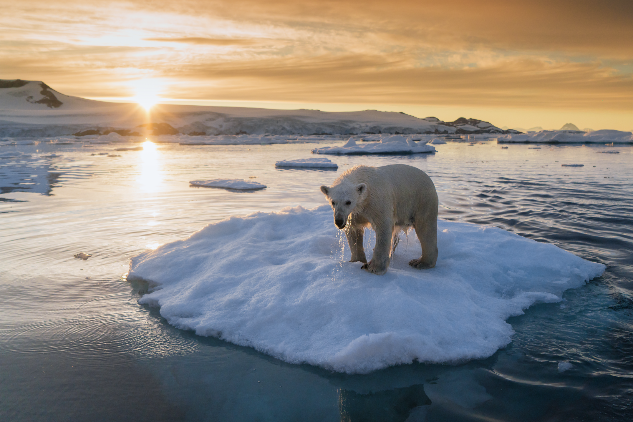 螢幕快照 2018-03-12 上午11.21.30