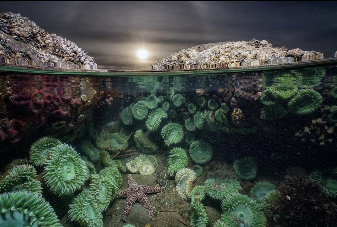 螢幕快照 2018-03-12 上午11.34.35