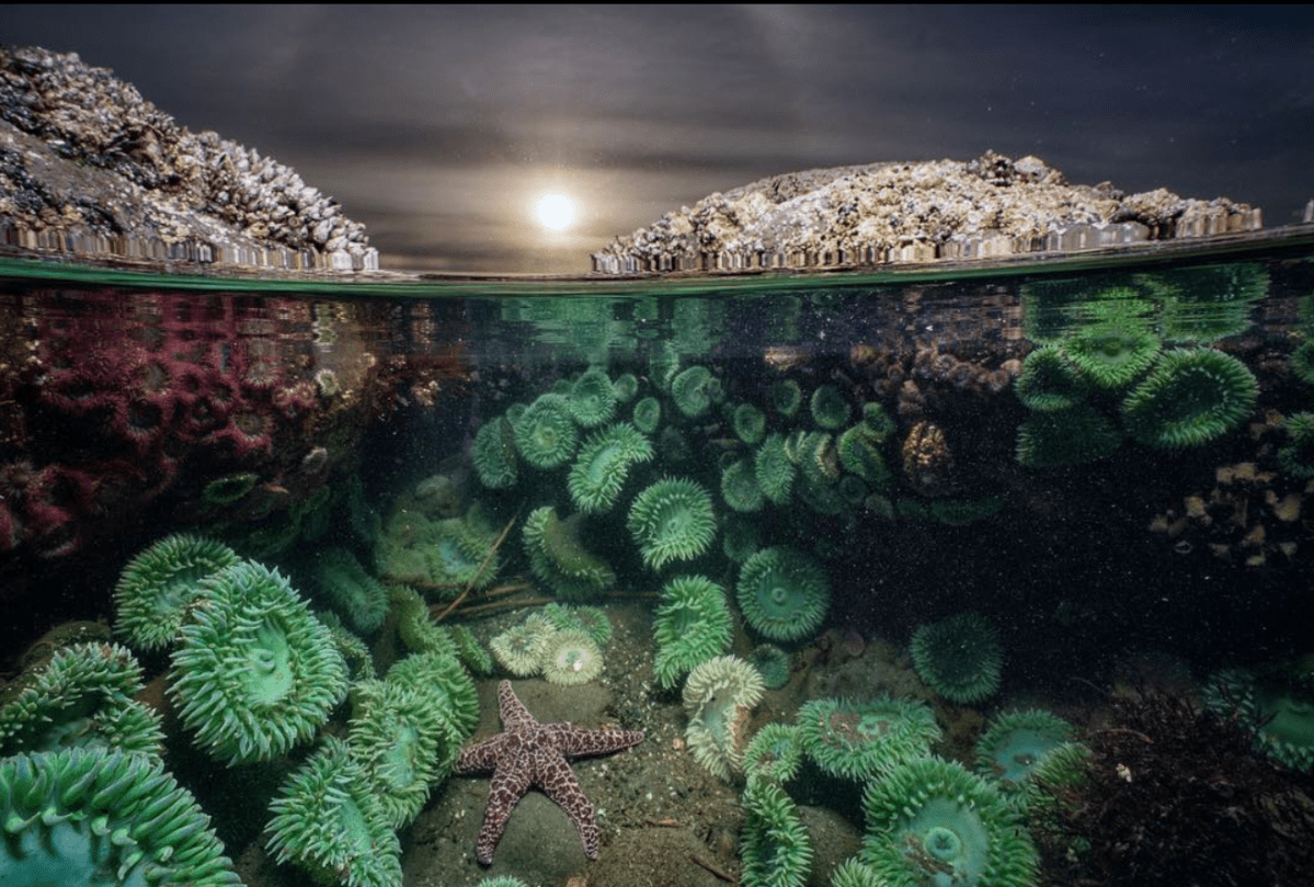 螢幕快照 2018-03-12 上午11.34.35