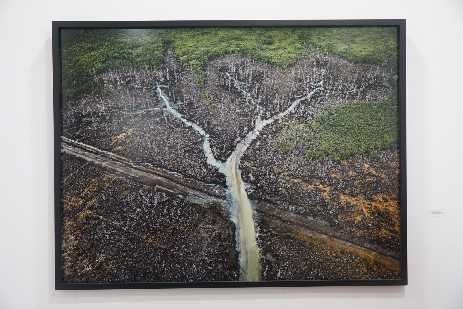 F3FBC5D9-BA35-4223-8B14-5986214102AD